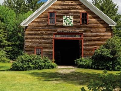 QuiltLX1-Pine-Tree-Farm-wk-sized