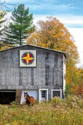 QuiltPH7-Morgan-Silver-Chicken-Barn-with-horse2-Phillips-wk_DSC2555-sized