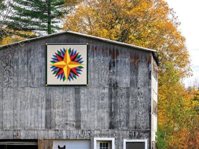 QuiltPH7-Morgan-Silver-Chicken-Barn-with-horse2-Phillips-wk_DSC2555-sized