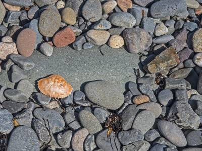 DECsp30p Rocks and crabshell