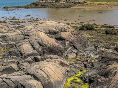 DECsp75-Cobscook Bay State Park
