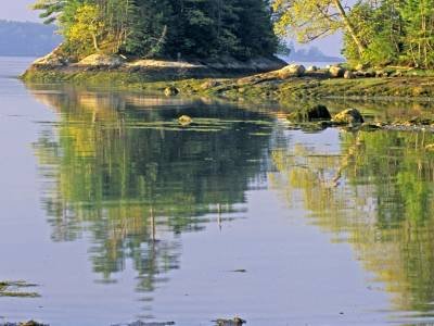 WNsp3 Googins Island Spring