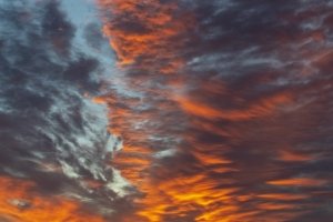 DEf162-Southwest-Harbor-Sunrise-Sewall-Drive