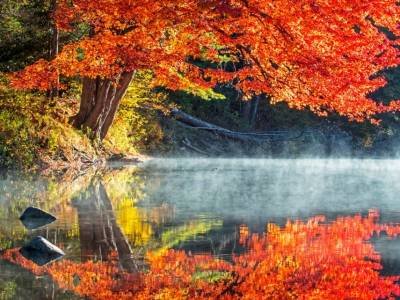 SLf397-Gilman-Stream-Red-Maple Reflection