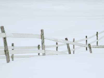 WMw16-Crossing Fences