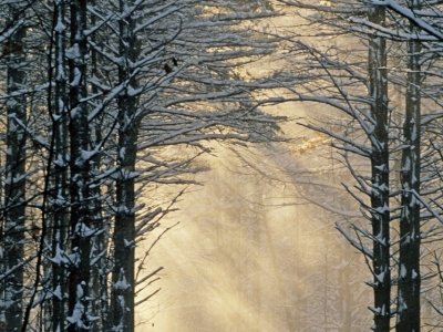 WNw3-Winter-Driveway, Freeport, Maine