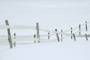 WMw16-Crossing Fences