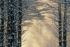 WNw3-Winter-Driveway, Freeport, Maine