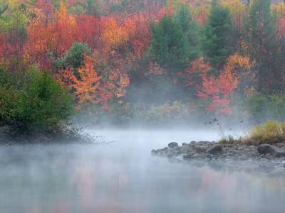 MHTf4 Dead River Fall Fog