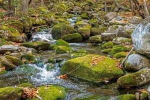KFf131-Norton-Stream-Cascade