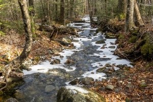 SLf616-Brook-on-Little-Bigelow-Hike