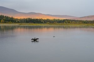 SLf651-East-Kennebago-Sunrise-with-Loon