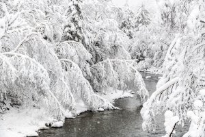 SLsp110-Carrabassett-River-after-Heavy-Spring-Snowstorm
