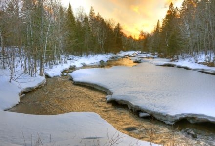 SLsp19 Early Spring Evening Carrabassett River Gold