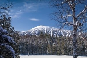 SLw263 Sugarloaf Mountain Bluebird Day
