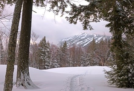 Sugarloaf Mountain Stormy Day, Carrabassett Valley, ME - SLw47
