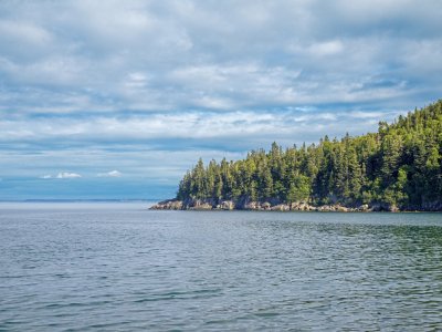 DEsu26-2-Cove-Lubec-ME-B0002267-wk-copy