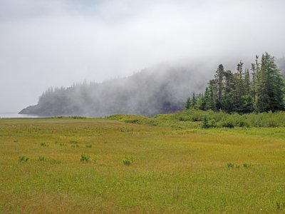 DEsu26-6-Foggy-Morning-at-Cove-Lubec-MEB0002279-wk-copy