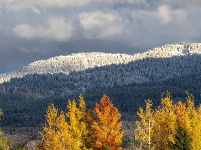 IDf24-20-Teton-Foothills-from-Cottonwood-Way