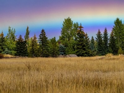 IDf25-1-Ground-Rainbow-