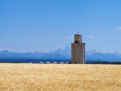 IDsu26-27-Grain-Elevator-in-France-ID-B0002214-wk-copy