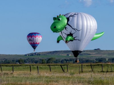 IDsu26-9-Dinosaur-Hot-Air-Balloon-about-to-land-_DSC0625-wk-copy