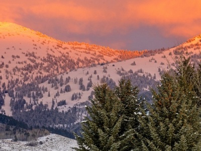 IDw24-12-Late-afternoon-from-Cottonwood-Way_Panorama