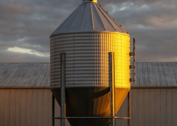 ILLf2-Pink-Hat-Farmer Silo