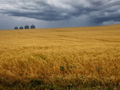 NDsu26-12-Grain-Silos-in-New-England-ND_DSC0798-wk-copy