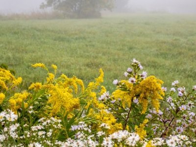 VTf25-1-Early-Morning-Fog-East Montpelier-VT