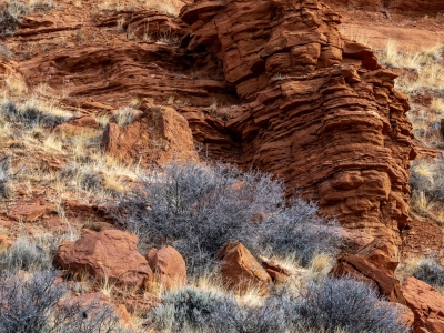 WYf24-14-Red-Rock-and-Sage-Red-Canyon-near-Lander