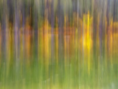 WYf25-4-Treasure-Lake-Teton-Canyon