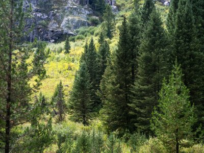 WYsu26-22-Teton-Canyon-DSC_3192-wk-copy