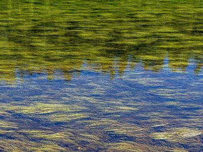 YSNPsu24-5-Reflections-in-Lewis-River-