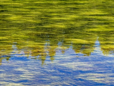 YSNPsu24-6-Reflections-in-Lewis-River