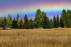 IDf25-1-Ground-Rainbow-