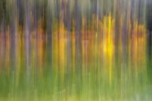 WYf25-4-Treasure-Lake-Teton-Canyon