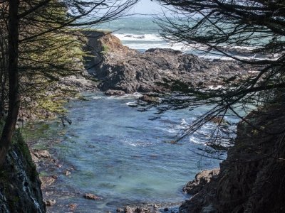 CAsp13-90-Coast-through-Trees-A4492713-wk-copy