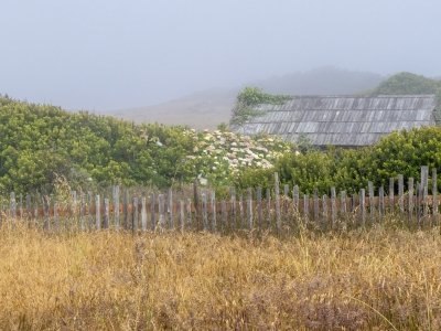CAsu25-13-Sea-Ranch-Shed-and-Fence-in-Fog