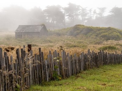 CAsu25-18-Sea-Ranch-Fence-with-Shed-in-Fog_DSC0327-wk-copy
