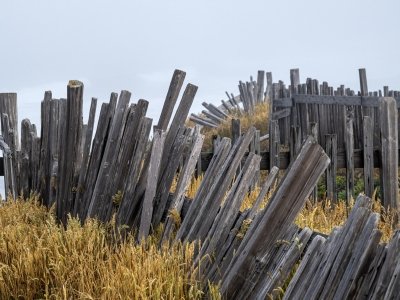 CAsu25-19-Sea-Ranch-Fence-with-Shed-in-Fog