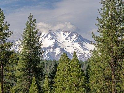CAsu25-3-MT-Shasta_DSC0284-wk-copy