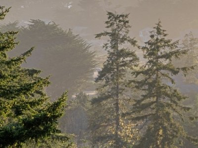 CAsu25-6-Sea-Ranch-Porch-View