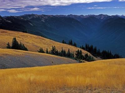 Views of the Olympic Mountains, Hurricane Ridge, Olympic National Park, Washington - WAf2