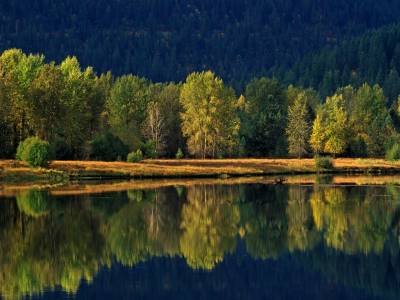 Morning Reflections, St. Regis River, Eastern Idaho - IDf1