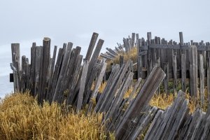 CAsu25-19-Sea-Ranch-Fence-with-Shed-in-Fog