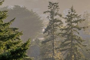 CAsu25-6-Sea-Ranch-Porch-View