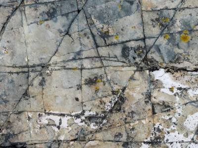 DEf143_Pike-Lands-Cove-Triangle-Rock-Lines2-DSC5383-wksqare