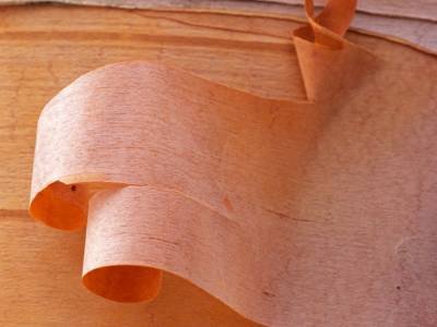 SLw29-Birch-Bark