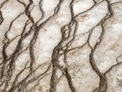 YNPsp25-14-Grand-Prismatic-Spring_DSC0137-sq-wk-copy